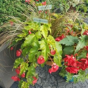 Meet your Posher, Mary ann